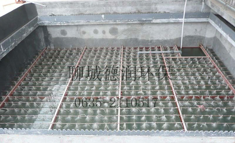 冠縣前進(jìn)集團(tuán)污水處理工程竣工，調(diào)試運(yùn)行效果顯著